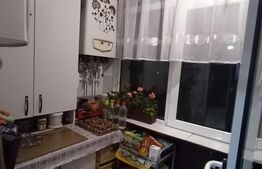 Apartament cu 2 camere Ultracentral ING Bank 