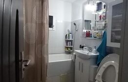 Apartament cu 2 camere Ultracentral ING Bank 