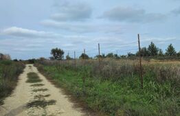 Lac pescuit sportiv, teren de 44.390 mp, zona Potlogi