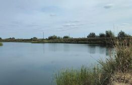 Lac pescuit sportiv, teren de 44.390 mp, zona Potlogi