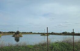 Lac pescuit sportiv, teren de 44.390 mp, zona Potlogi