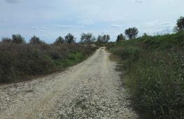 Lac pescuit sportiv, teren de 44.390 mp, zona Potlogi