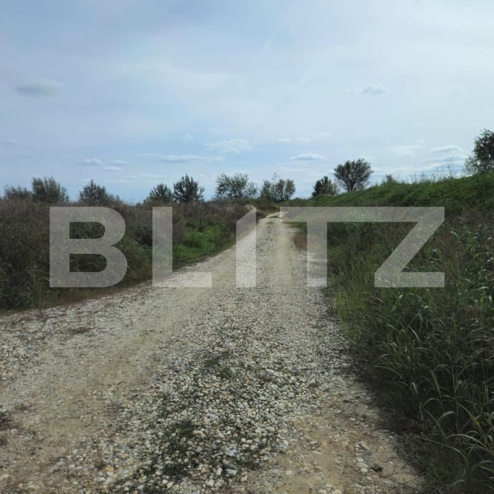 Teren de vânzare Exterior Sud - 162117TV | BLITZ Târgoviște | Poza5