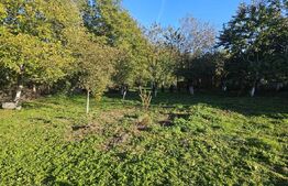 Casa de 159 mp Pucioasa-Sat cu 5 camere recent renovata si 1050 mp teren