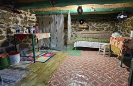 Casa rustica (62mp) in sat Magura cu 1000mp teren si anexe!