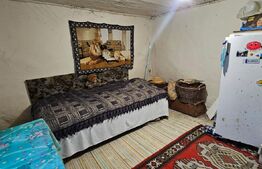 Casa rustica (62mp) in sat Magura cu 1000mp teren si anexe!