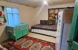 Casa rustica (62mp) in sat Magura cu 1000mp teren si anexe!