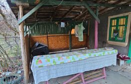 Casa rustica (62mp) in sat Magura cu 1000mp teren si anexe!