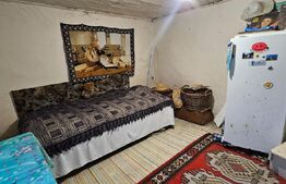 Casa rustica (62mp) in sat Magura cu 1000mp teren si anexe!