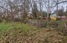 Teren intravilan 700mp in Aninoasa 