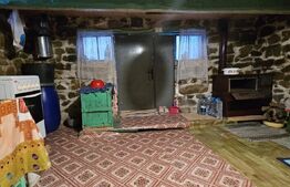 Casa rustica de vacanta (62mp) in sat Magura cu 1000mp teren si anexe!