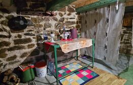 Casa rustica de vacanta (62mp) in sat Magura cu 1000mp teren si anexe!