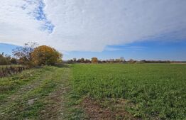 Teren in Razvad intravilan 1400mp cu acces la curent electric