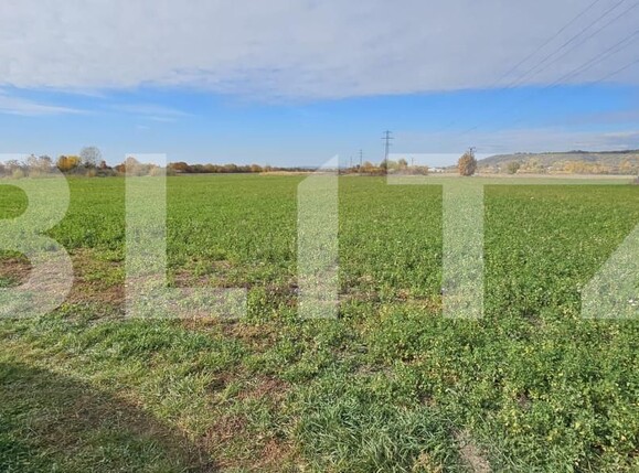 Teren de vânzare Razvad - 162509TV | BLITZ Târgoviște | Poza1