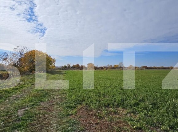 Teren de vânzare Razvad - 162509TV | BLITZ Târgoviște | Poza3