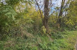 Teren intravilan in Comuna Razvad 1950mp cu acces la principala