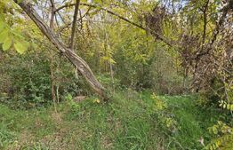 Teren intravilan in Comuna Razvad 1950mp cu acces la principala