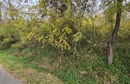 Teren intravilan in Comuna Razvad 1950mp cu acces la principala