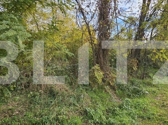 Teren de vânzare Gorgota - 162510TV | BLITZ Târgoviște | Poza1