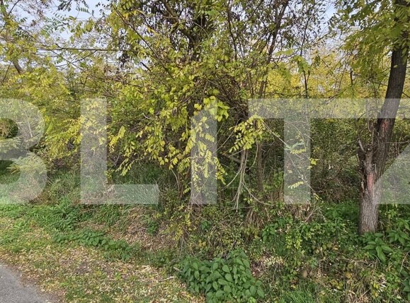 Teren de vânzare Gorgota - 162510TV | BLITZ Târgoviște | Poza3