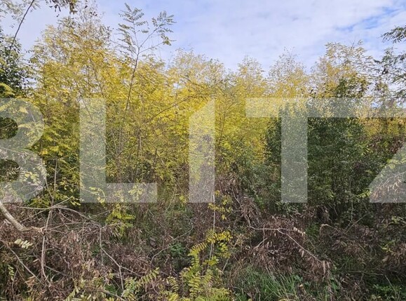 Teren de vânzare Gorgota - 162510TV | BLITZ Târgoviște | Poza2