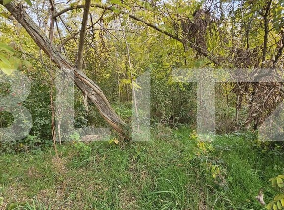 Teren de vânzare Gorgota - 162510TV | BLITZ Târgoviște | Poza4