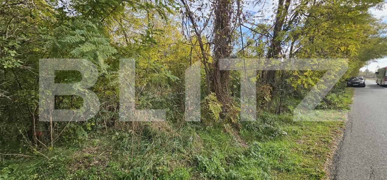 Teren de vânzare Gorgota - 162510TV | BLITZ Târgoviște | Poza1