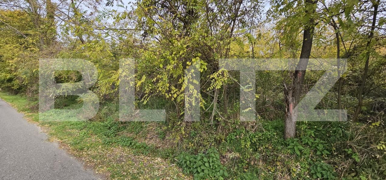 Teren de vânzare Gorgota - 162510TV | BLITZ Târgoviște | Poza3