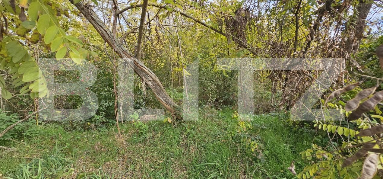 Teren de vânzare Gorgota - 162510TV | BLITZ Târgoviște | Poza4