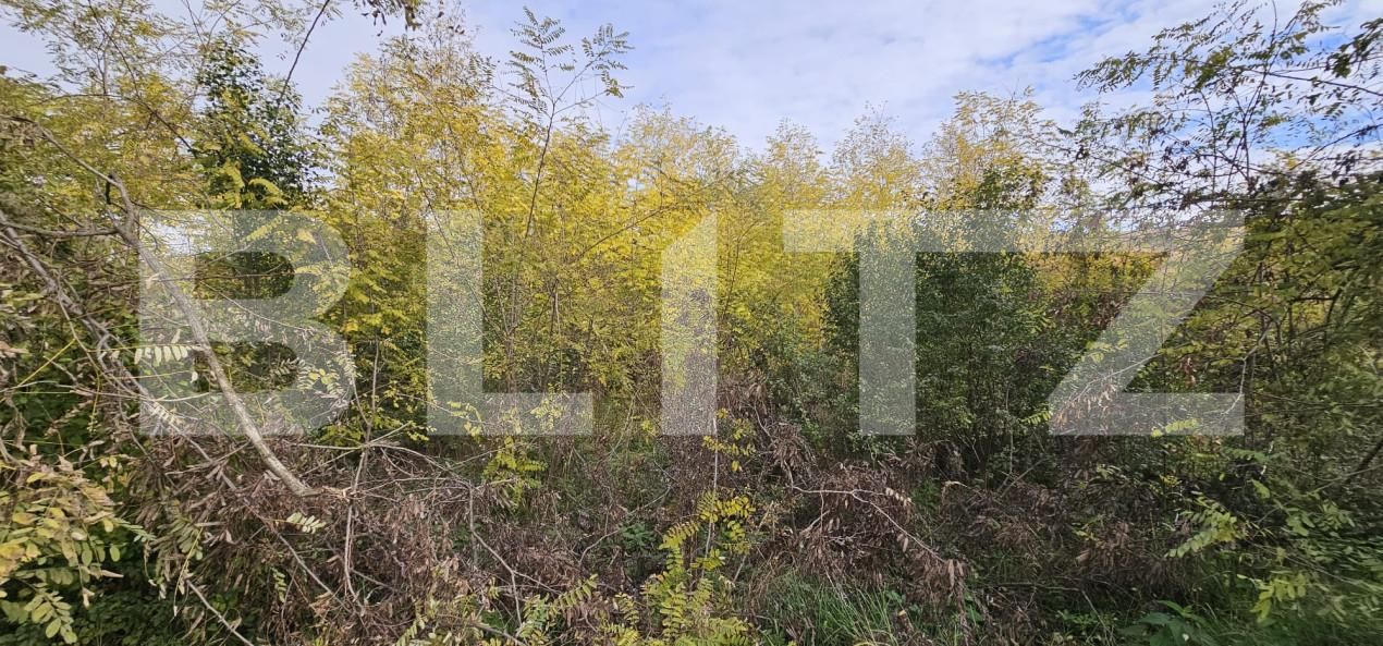 Teren de vânzare Gorgota - 162510TV | BLITZ Târgoviște | Poza2