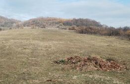  Teren intravilan 21€/mp  suprafața 3360 mp