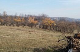  Teren intravilan 21€/mp  suprafața 3360 mp