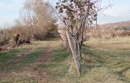  Teren intravilan 21€/mp  suprafața 3360 mp