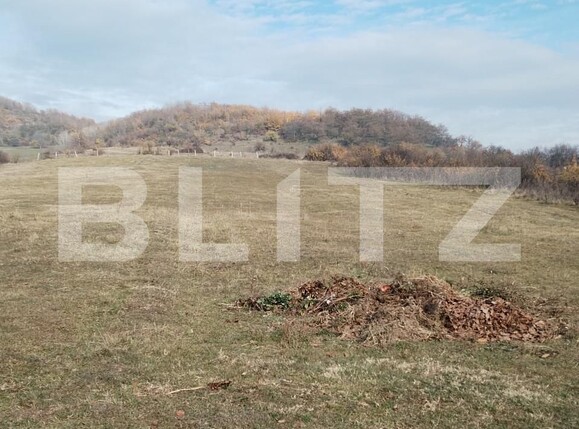 Teren de vânzare Aninoasa - 162555TV | BLITZ Târgoviște | Poza2