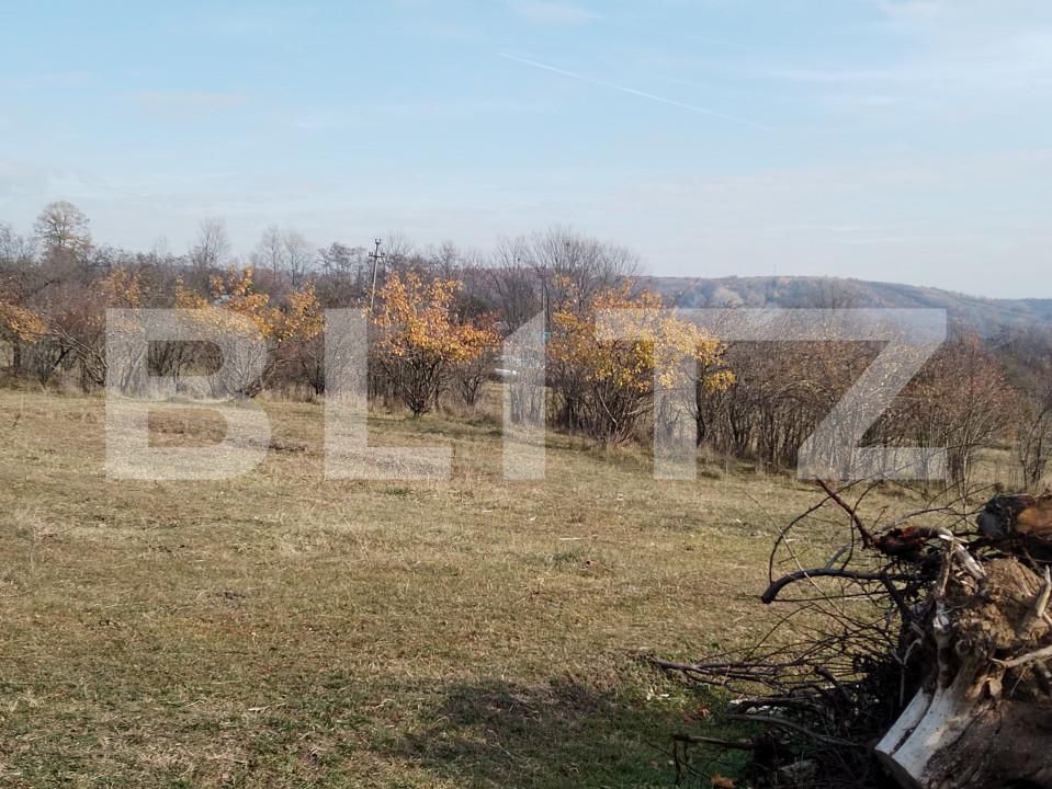 Teren de vânzare Aninoasa - 162555TV | BLITZ Târgoviște | Poza1