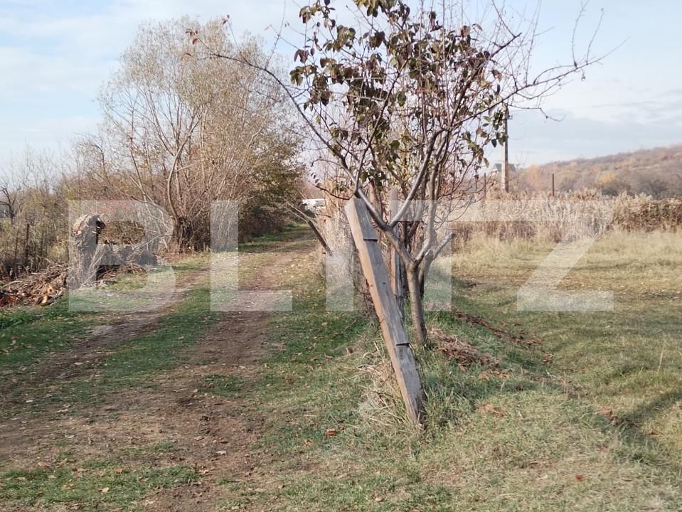 Teren de vânzare Aninoasa - 162555TV | BLITZ Târgoviște | Poza3