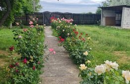 0% Comision! Casa cu 4 camere, 148 mp, 1700 mp teren, in Costestii din Deal