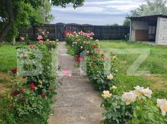 Casa de vânzare 4 camere Exterior Sud - 162557CV | BLITZ Târgoviște | Poza4