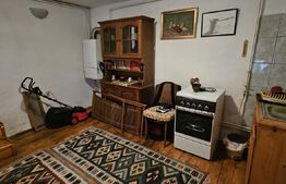 Casa in Pietrosita 160 mp si 400 mp teren in zona de deal