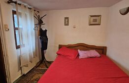 Casa in Pietrosita 160 mp si 400 mp teren in zona de deal