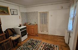 Casa in Pietrosita 160 mp si 400 mp teren in zona de deal