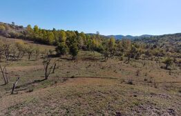 Teren extravilan cu priveliște superba , livadă și potențial căsuțe de vacanță