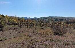 Teren extravilan cu priveliște superba , livadă și potențial căsuțe de vacanță