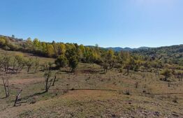 Teren extravilan cu priveliște superba , livadă și potențial căsuțe de vacanță