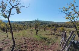 Teren extravilan cu priveliște superba , livadă și potențial căsuțe de vacanță