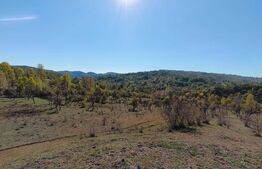 Teren extravilan cu priveliște superba , livadă și potențial căsuțe de vacanță