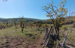 Teren extravilan cu priveliște superba , livadă și potențial căsuțe de vacanță