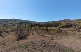 Teren extravilan cu priveliște superba , livadă și potențial căsuțe de vacanță