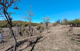 Teren extravilan cu priveliște superba , livadă și potențial căsuțe de vacanță