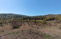 Teren extravilan cu priveliște superba , livadă și potențial căsuțe de vacanță